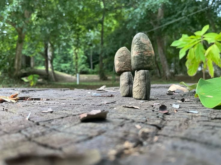 Nature — Hopkins2.0