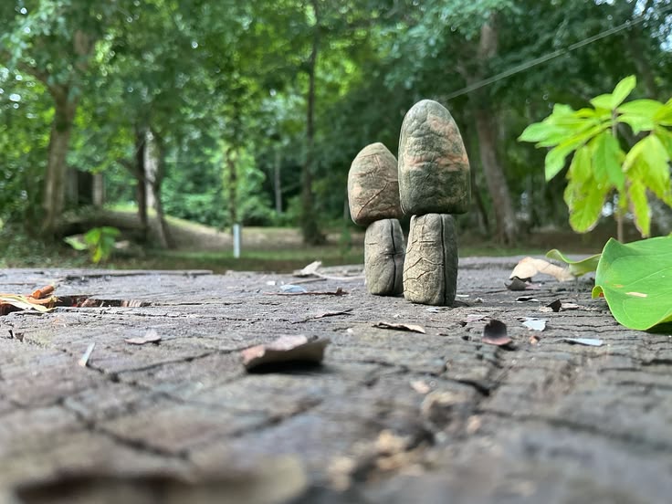 Nature