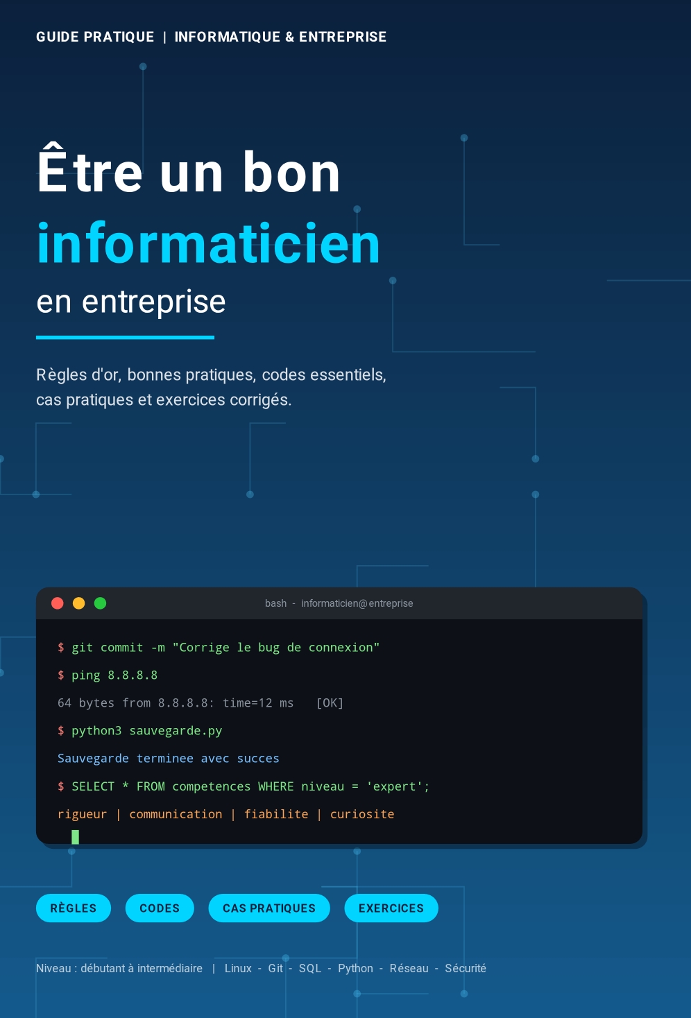 Guide comment être un bon informaticien dans une entreprise