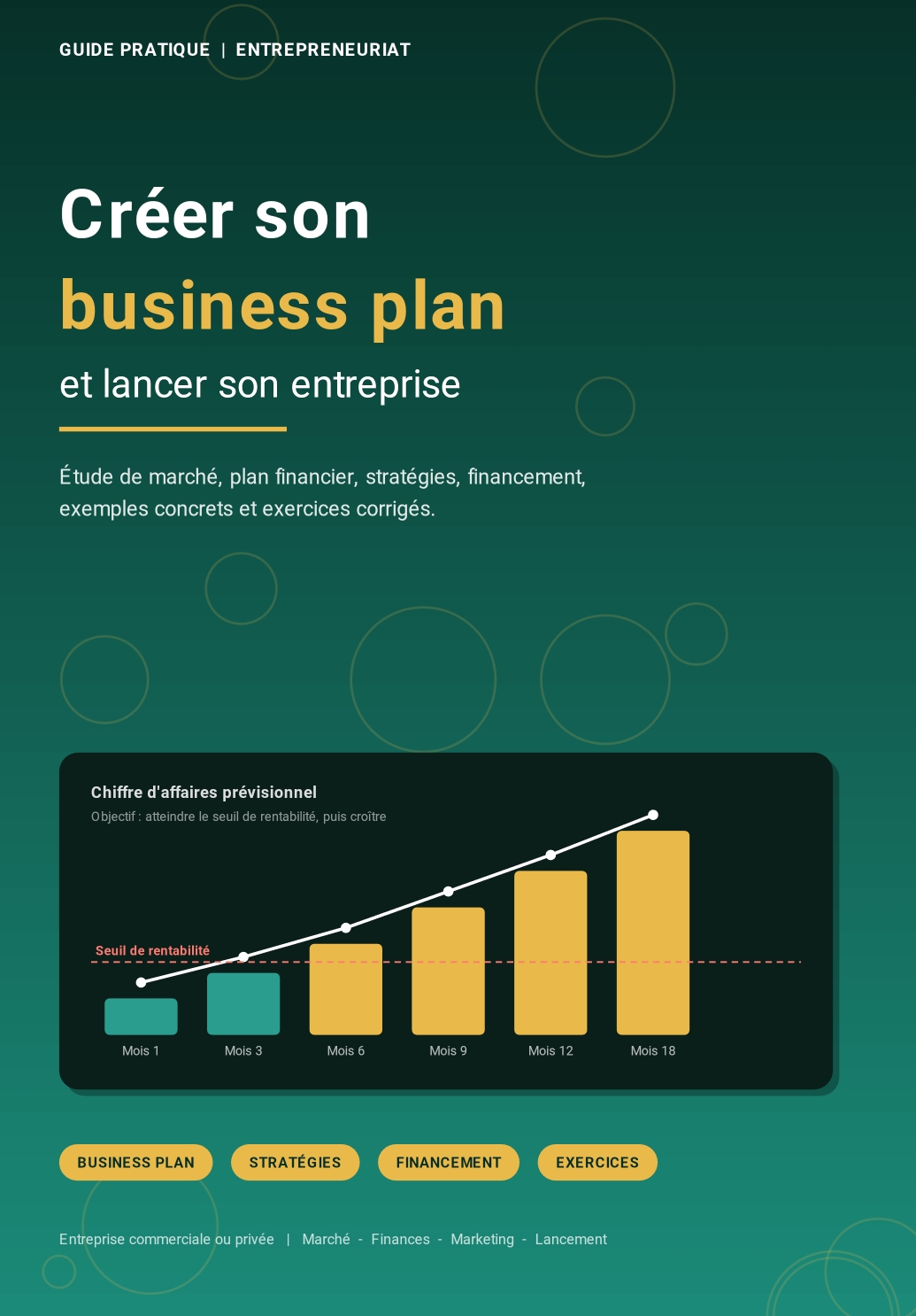 Guide complet business plan